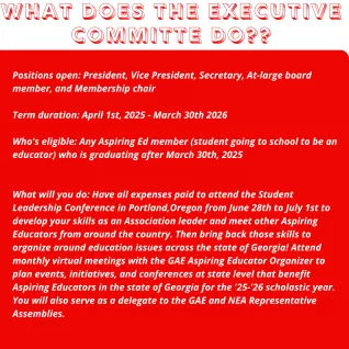 file for ae leadership