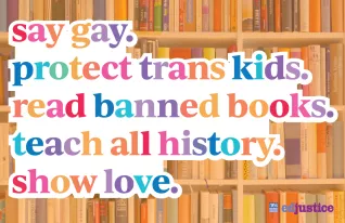 Say Gay Poster